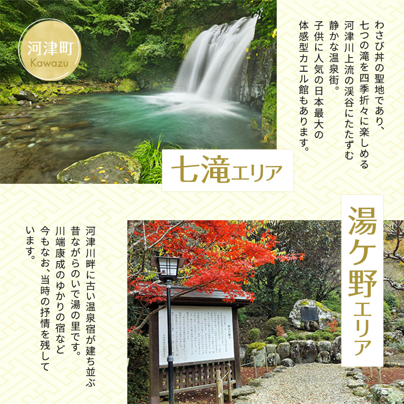 たっぷり河津旅宿泊補助券（8，000円）