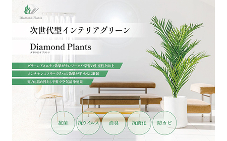 次世代型インテリアグリーン　DiamondPlants　Short【リビング 寝室】 ナノダイヤモンド 触媒 コーティングして 抗菌 抗ウィルス 消臭 防カビ 抗酸化作用 植物  ティーリーフ・ホワイト鉢