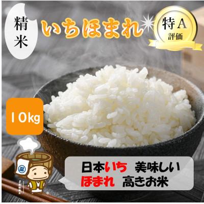 ふるさと納税 あわら市 【令和7年産】いちほまれ 精米 5kg×2袋(計10kg)《お米マイスターが発送直前に精米!》