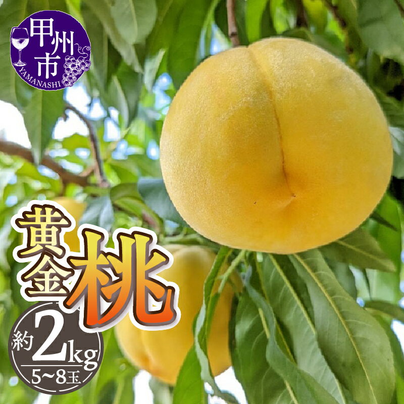 【ふるさと納税】 桃 黄金桃 約2kg 5～8玉 果物 甲州市産 厳選 もも 産地直送 フルーツ 山梨 甲州市 数量限定 期間限定 2025年発送 ギフト 贈答 家庭用 7月 8月 発送 （THR） 【B-805】