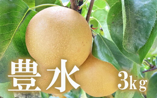 【ふるさと納税】No.1716梨　なし　豊水　約3kg　【2025年発送】