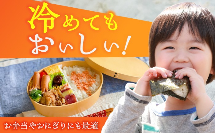 米　お米　コメ　こめ　さがびより　お弁当　白米　