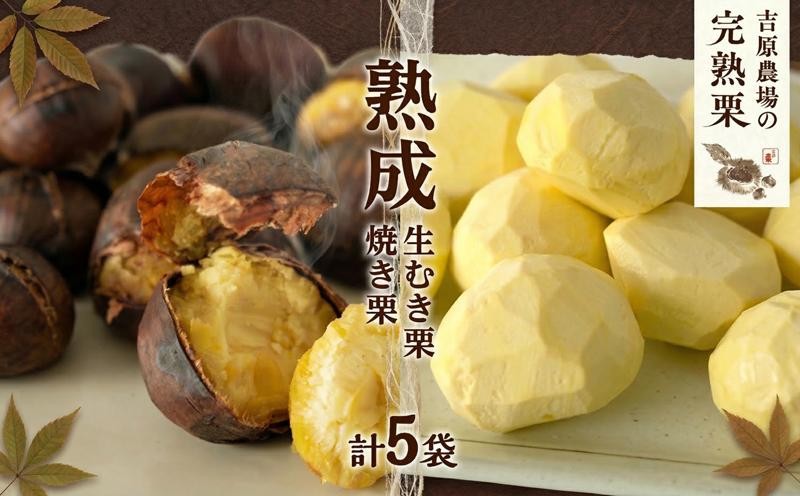 
                  【先行受付】 栗 生栗 焼き栗 2種セット 生むき栗 120g × 3袋 焼き栗 200g × 2袋  完熟栗 くり クリ 和栗 わぐり まろん マロン 栗ご飯 栗きんとん ゆでぐり 贈答 贈答用 ギフト 国産 国産栗 果物 フルーツ 秋 旬 秋の味覚 冬 正月 おせち 関東 茨城 筑西
                