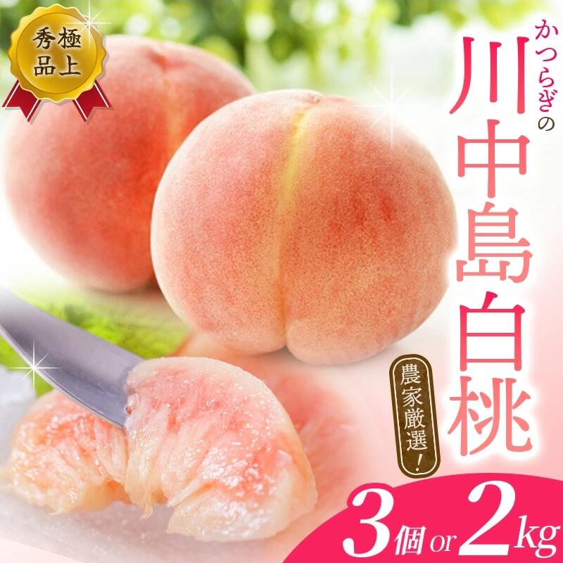 【ふるさと納税】【予約受付】桃の王様【予約受付】こだわり農家厳選 川中島白桃 和歌山産の桃 大玉 特秀品 【選べる容量】 2025年8月初旬頃～2025年8月末頃に順次発送予定（お届け日指定不可）/ 桃 もも 川中島 白桃 フルーツ 果物 くだもの