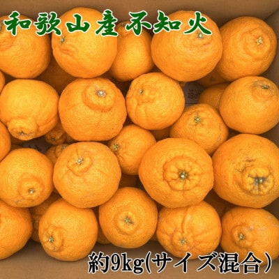 「農園直送」和歌山県産不知火　もりもりの約9kg(サイズ混合　ご家庭用)(日高町)【1734077】