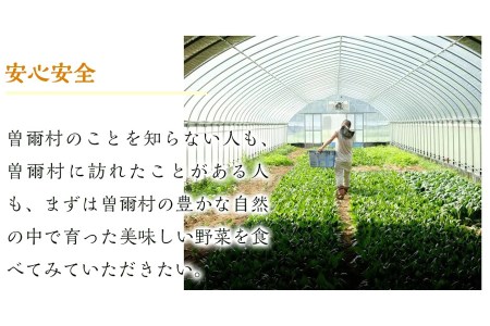 【2024年7月より順次発送】曽爾高原夏野菜５種５品３ヶ月定期便