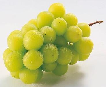 ◆先行予約◆和歌山県産 シャインマスカット 2房入り〈秀品〉［2025年8月中旬以降出荷］［MG23］