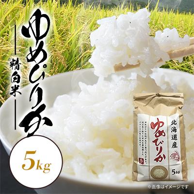 ふるさと納税 八雲町 【毎月定期便】【北海道八雲町熊石産】ゆめぴりか5kg(精白米) 全6回