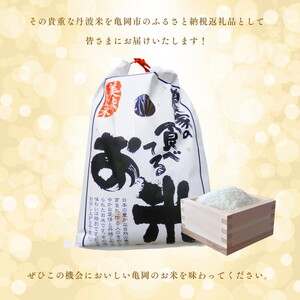 【定期便】令和6年産 キヌヒカリ 5kg×6回 計30kg【京都丹波米おいしいお米コンテスト】入賞（最優秀賞） ｜ 米 コメ 白米 京都 丹波 きぬひかり 数量限定