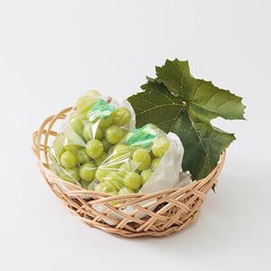 【2025年度発送分】早起き農家の直送便　わけありシャインマスカット2kg【1428073】