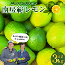 【ふるさと納税】南房総レモン 3kg ユーレカ リスボン 千葉県 南房総市 甘み 果物 果実 フルーツ グリーンレモン イエローレモン 柑橘類 国産 お取り寄せ グルメ ちばエコ農産物 送料無料