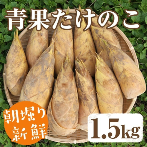 ＜先行予約受付中！2027年2月下旬以降順次発送予定＞ 【土日祝着】朝堀り青果たけのこ(約1.5kg) 国産 新鮮 タケノコ 青果 竹の子 筍 野菜 春 旬 期間限定 数量限定 【上野食品】akn008-04-B
