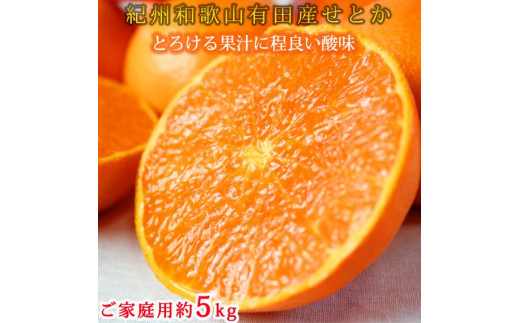 
                  紀州有田産せとか約5kg ［ご家庭用］とろける食感！ジューシー柑橘［2026年2月上旬以降発送］［UT90］
                