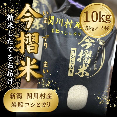 【ふるさと納税】R7年産 関川村産 岩船コシヒカリ 今摺米 10kg(精米5kg×2袋)[JA北新潟]【1701353】