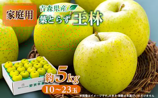 
青森県産りんご「葉取らず王林」約5kg(家庭用)【1346244】
