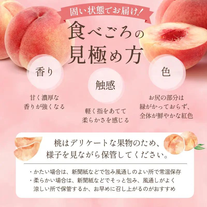 桃 川中島白桃 秀品 約2kg 5～9玉 果物 フルーツ 桃