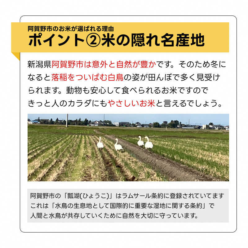 【令和7年産】【3か月定期便】 米杜氏 阿賀野市産 新之助 5kg×3回 計 15kg 1H52049