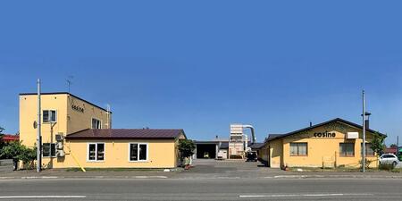 旭川家具　コサイン　coaハーフチェア ナチュラル チェア 椅子 43×43×64cm 約7.5kg 【 旭川家具 北海道 旭川市 木製 家具 デスクチェア 在宅ワーク 作業椅子 背もたれ低め 背もた