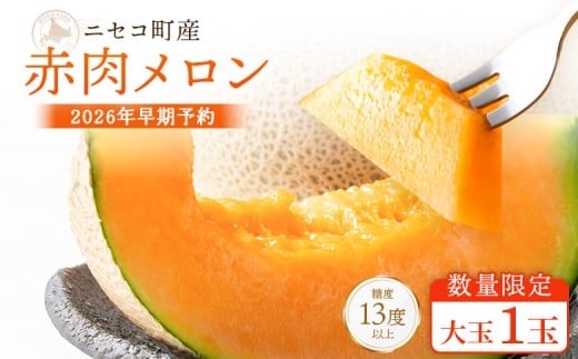 【北海道ニセコ町産】赤肉メロン大玉1玉　＜数量限定・2026年早期予約・7月下旬より出荷予定＞【02035】