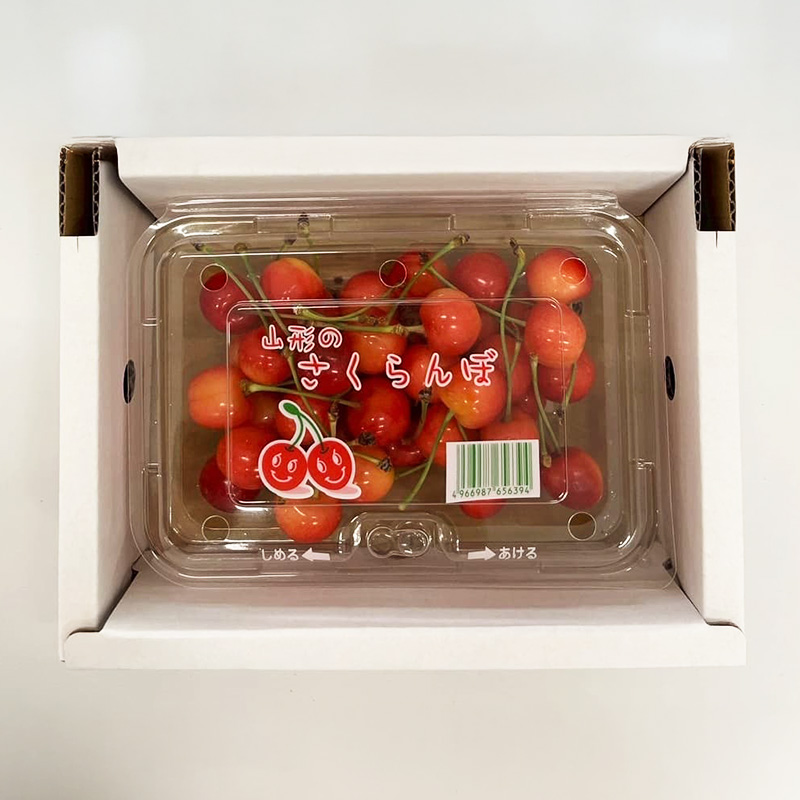 山形さくらんぼ (祝)栽培150周年記念！佐藤錦 200g L玉 数量限定！【令和8年産先行予約】FS25-060