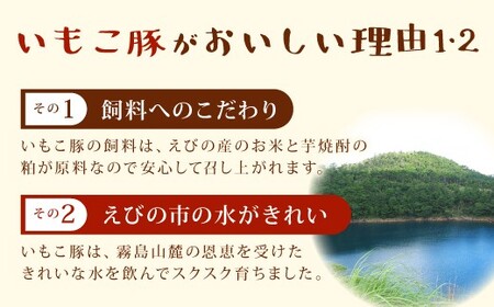 【6回定期便】豚肉 宮崎県産 いもこ豚 しゃぶしゃぶ セット 2.1kg × 6回 総合計 12.6kg しゃぶしゃぶ用 切り落とし 小分け 豚 豚バラ ロース 肩ロース スライス 小間切れ 鍋 鍋用