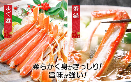 越前がに本場の越前町からお届け！越前がに 浜茹で≪竹セット≫2～3人前 【12月発送分】 かに酢 かにの食べ方しおり かにスプーン付き【かに カニ 蟹】【福井県 越前町 雄 ズワイガニ ボイル 冷蔵 