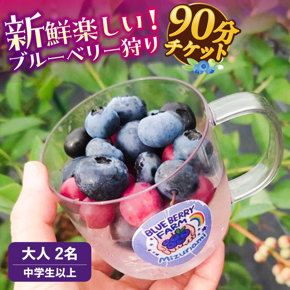 【ふるさと納税】ブルーベリーファーム瑞浪 ブルーベリー狩り 90分 大人(中学生以上) 2名様分 チケット[AZCX001]