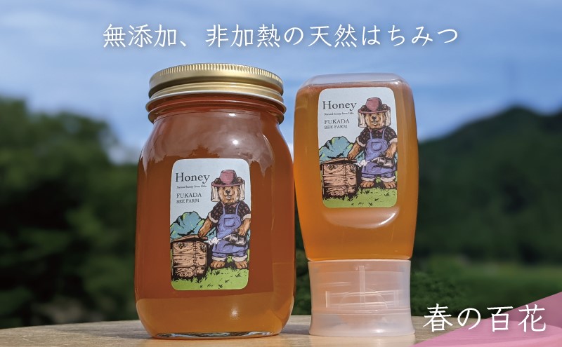 【先行予約 2025年6月20日より発送】合計900g 天然蜂蜜 国産蜂蜜 非加熱 生はちみつ 岐阜県 美濃市産 春 (蜂蜜600g入りガラス瓶1本,蜂蜜300g入りピタッとボトル1本のセット)A15 深田養蜂のハチミツ