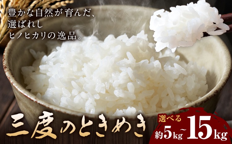 令和7年産 米 三度のときめき 5kg 10kg 15kg くまもと食彩の力《60日以内に出荷予定(土日祝除く)》熊本県 長洲町 お米 ひのひかり ヒノヒカリ こめ コメ---sn_kmst_60d_r7_16000_5kg---