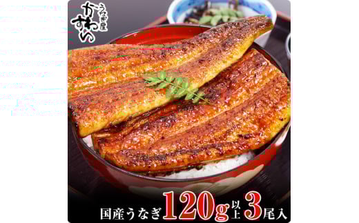 国産うなぎ蒲焼120ｇ 3本セット(A994-1)