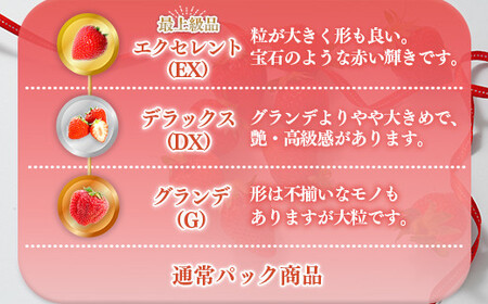 ＜先行予約受付中！2025年2月中に発送予定＞福岡県産 あまおう(計約500g・250g×2P)いちご 苺 フルーツ 果物 くだもの 冷蔵 ＜離島配送不可＞【ksg1491】【くまふる春日】