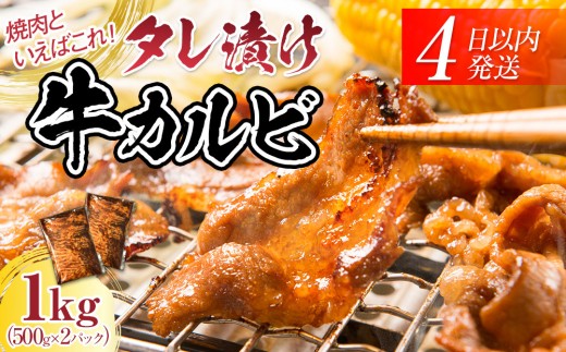 
                  【４日以内発送】タレ漬け牛カルビ 大容量 1kg(500g×2) 【配送不可：離島】◆小分けパック 大容量 真空冷凍 カルビ にく ジューシー 牛肉 肉 焼肉 牛丼 小分け 手軽 ランキング BBQ 味付き 数量限定
                