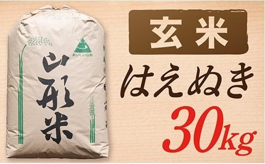 【令和7年産】【玄米】山形県産 はえぬき 30kg