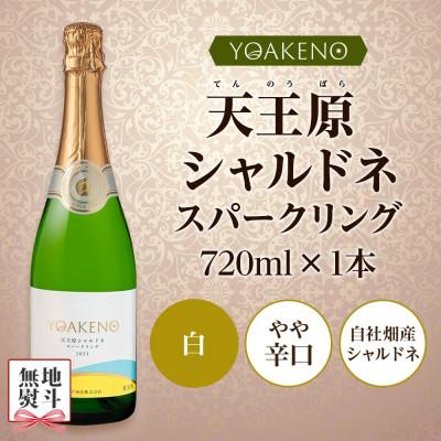 ふるさと納税 笛吹市 【のし付き】山梨県 YOAKENO 天王原 シャルドネ スパークリング 1本 モンデ酒造 笛吹市 |  | 03