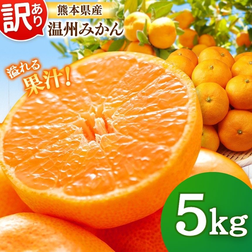 【ふるさと納税】訳あり 温州みかん 5kg | 蜜柑 柑橘 みかん 果物 フルーツ 期間限定 旬 大小混合 家庭用 産地直送 先行予約 オススメ返礼品 送料無料 大容量 熊本県 玉名市