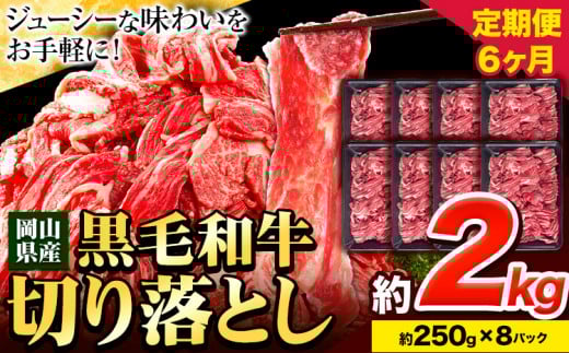 牛肉【6ヶ月定期便】 肉 黒毛和牛 切り落とし 訳あり 大容量 小分け 2kg 1パック 250g 定期便《お申込み月翌月から出荷開始》岡山県産 岡山県 笠岡市 お肉 にく カレー 牛丼 切り落し 切落し
