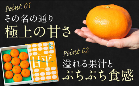 甘平【2026年2月上旬から順次発送】甘平 3kg（ 2L-4L）[AGAO010]