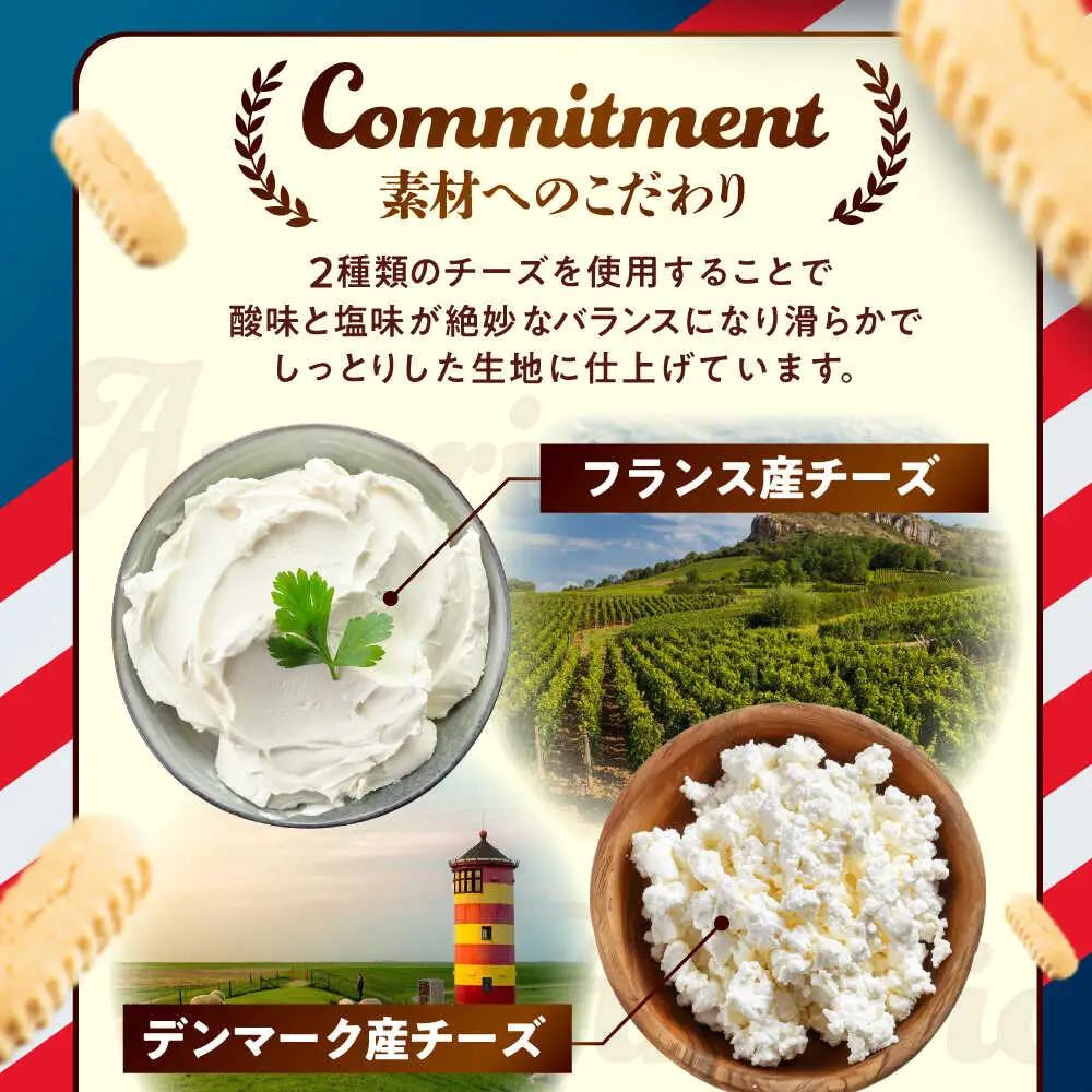 チーズケーキ 『ゴールドプレーン 』Lホール (18cm / 650g) BCBR001 ケーキ