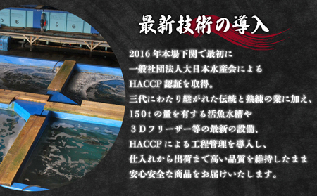 ふぐ刺身セット 2~3人前 冷凍 ふぐ ID