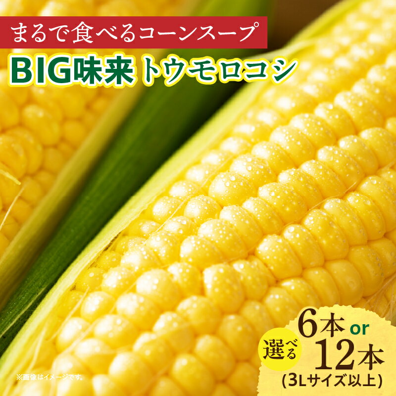【ふるさと納税】まるで食べるコーンスープ【BIG味来】とうもろこし ・H061-SKU コーン 朝採り 朝どれ 甘み 産地直送 産直 国産 愛知県産 野菜 夏野菜 ベジタリアン 農産物 農作物 甘い 贈答 贈り物 ギフト プレゼント 愛知県 西尾市 送料無料