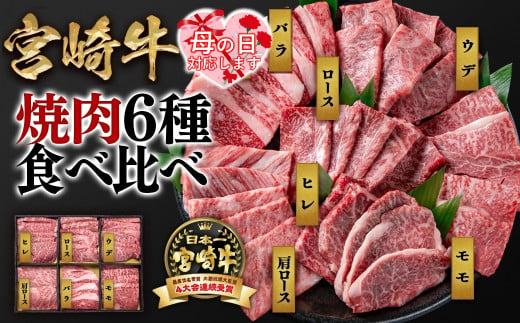 【母の日ギフト】宮崎牛 6種盛り焼肉 食べ比べセット600g 4等級以上 国産牛 肉  ブランド牛 ミヤチク 内閣総理大臣賞4連覇＜2.1-12＞