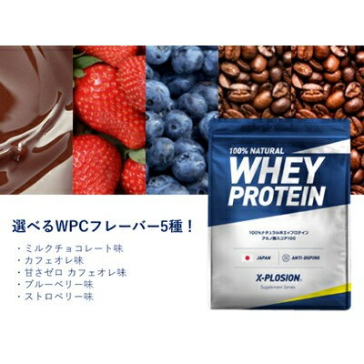 【ふるさと納税】WPC 100%ナチュラルホエイプロテイン 3kg【G1425745】