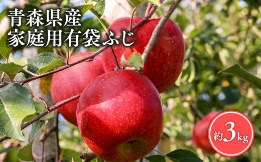 
                  ≪5月～6月発送≫【訳あり】家庭用 有袋ふじ３kg【青森県 平川市 丸勝木村商店】平川市産 青森りんご りんご リンゴ 林檎 ふじ 訳あり 家庭 わけあり お取り寄せ 先行予約 果物 くだもの フルーツ 
                