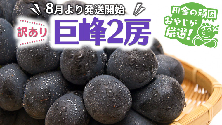 
【訳あり】巨峰2房【令和5年8月より発送開始】田舎の頑固おやじが厳選！
