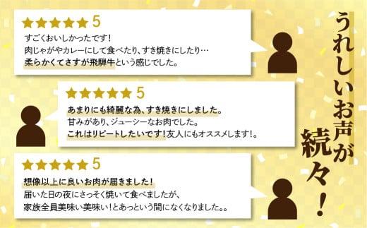 【2026年2月発送】飛騨牛 訳あり 切り落とし600g (日付指定不可) | 牛肉 肉 訳あり 切落し すき焼き 高山市 不揃い 黒毛和牛 冷凍 人気 国産 薄切り 部位 お取り寄せ グルメ 高評価