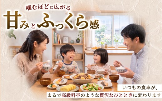 【令和8年産】茨城コシヒカリ 20㎏（5㎏×4袋）【精米】 | お米 米 こしひかり 茨城県産 白米 ブランド米 小分け