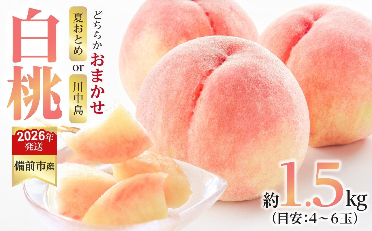
            【2026年発送分　先行受付開始！】びぜん白桃　夏おとめ白桃・川中島白桃のうち1品種　約1.5kg（令和8年7月中旬～7月下旬頃発送）【 岡山県備前市産  夏おとめ白桃  川中島白桃 1品種のみ 約1.5kg （４～６玉目安）】
          