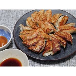 庄原特産　比婆牛・広島菜餃子　計4パック【配送不可地域：離島】【1704472】