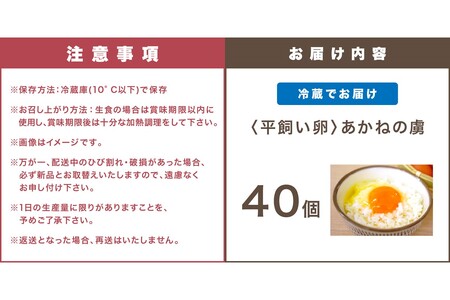 〈平飼い卵〉あかねの虜（40個）【B-174】