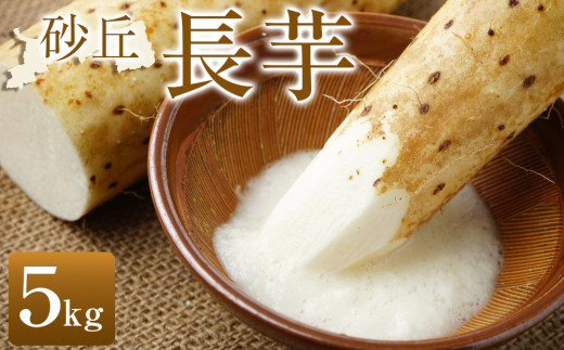 322.【先行受注】砂丘長いも 5kg ※2026年11月上旬～2027年3月下旬頃に順次発送予定【野菜 やさい 根菜 とろろ 長芋 芋 いも 鳥取県 北栄町 おすすめ 人気 送料無料】